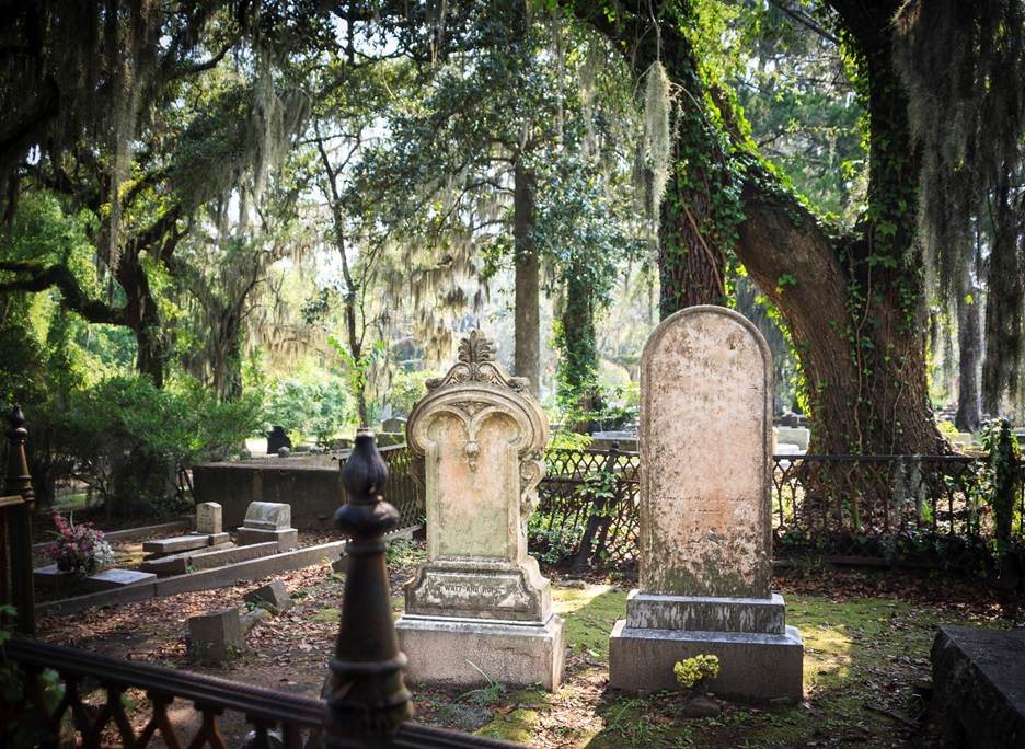 A cemetery with trees and tombstones
AI-generated content may be incorrect.