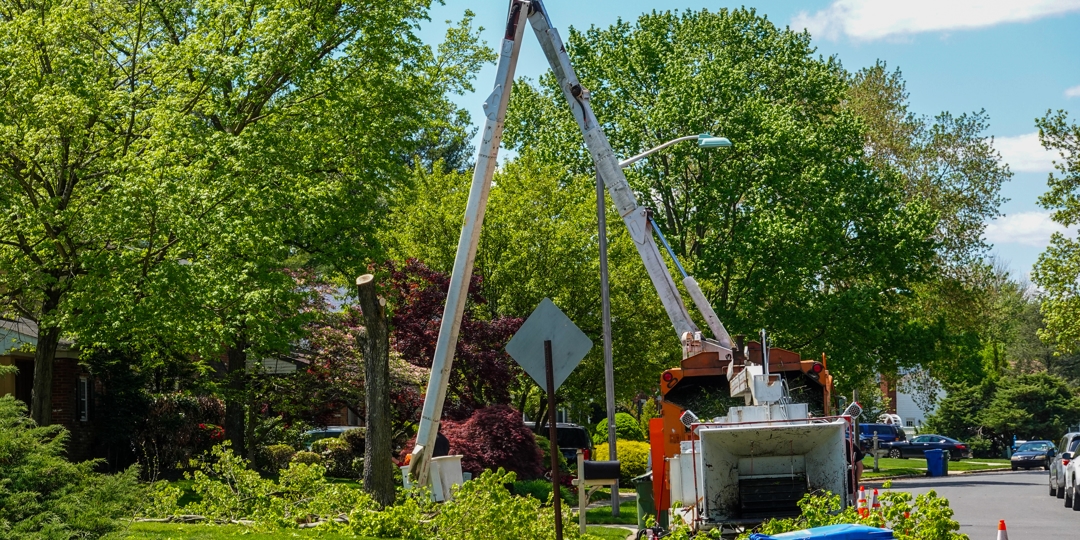 Tree removal crew using a bucket truck and chipper to safely cut and clear a large tree in a residential neighborhood on a sunny day.