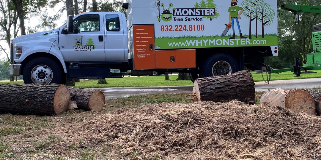 Monster Tree Service Image