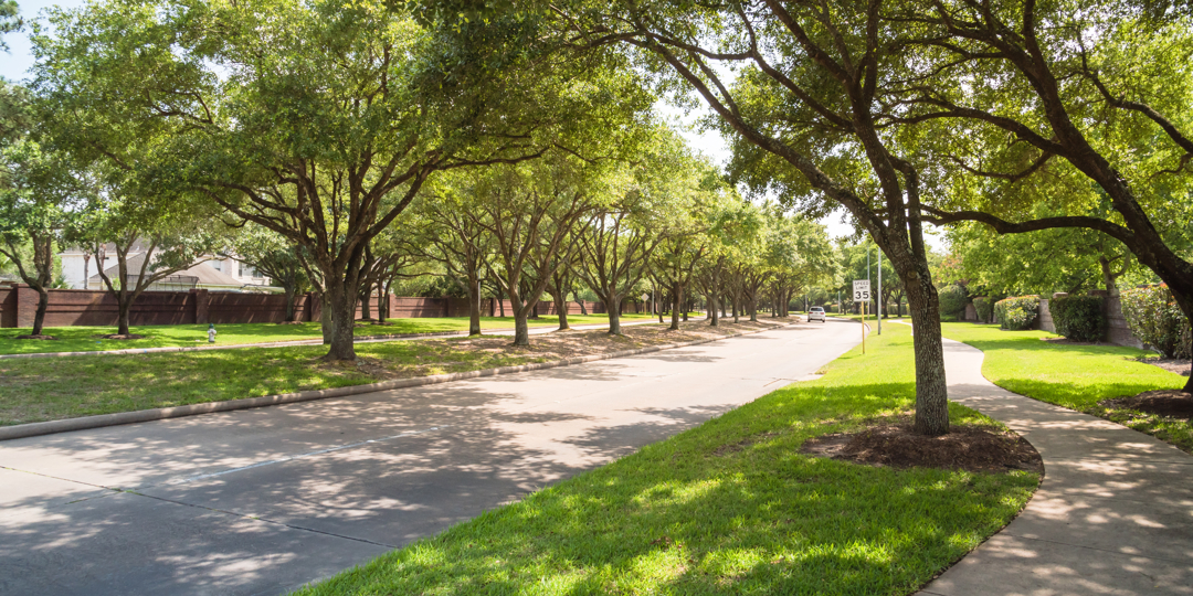 A tree-lined suburban street on a sunny day, featuring a canopy of mature green trees arching over the roadway and a concrete sidewalk. The scene shows well-maintained grass parkways, a 35 MPH speed limit sign, and a brick wall bordering a residential neig