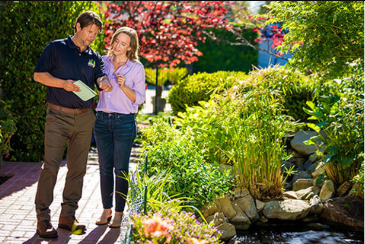 The Magic of Spring Fertilization and Plant Healthcare